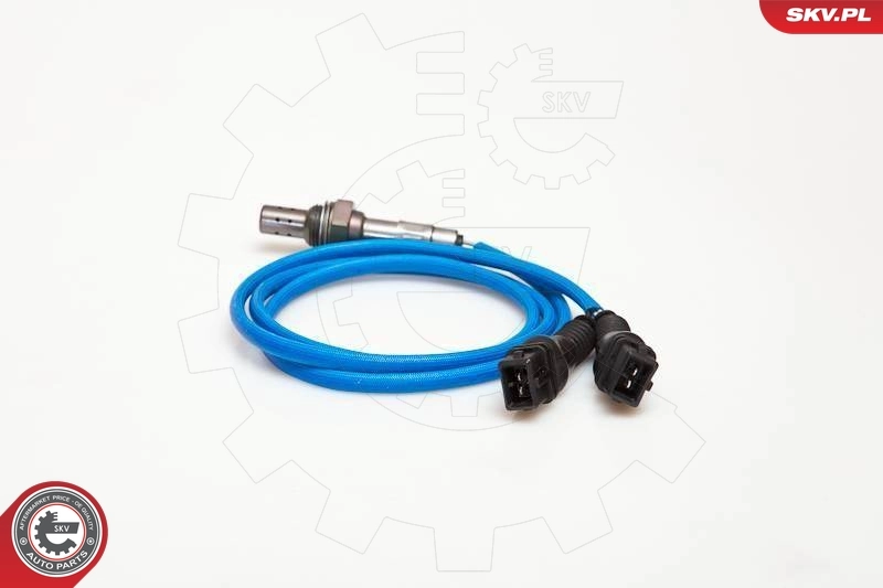 Oxygen Sensor